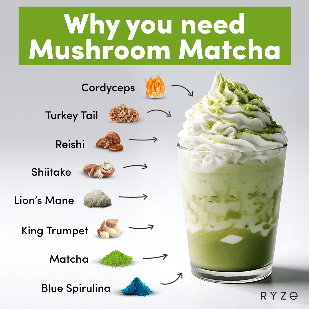 day-night-bundle-mushroom-matcha-mushroom-cocoasp0106ryze-177891-1.png